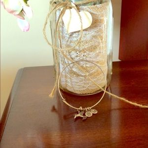 Alex and Ani hummingbird